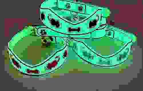 Pet Collar 