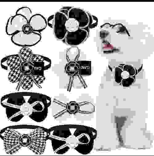 Pet Bow