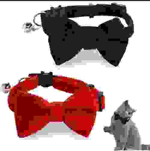 Pet Bow