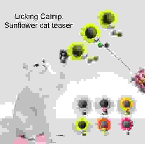 catnip cat toy