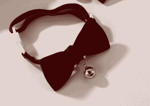 Pet Bow