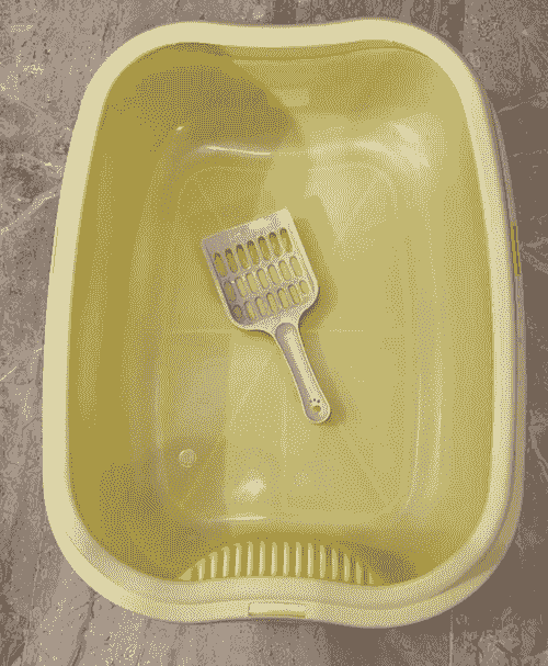 open litter box for cats