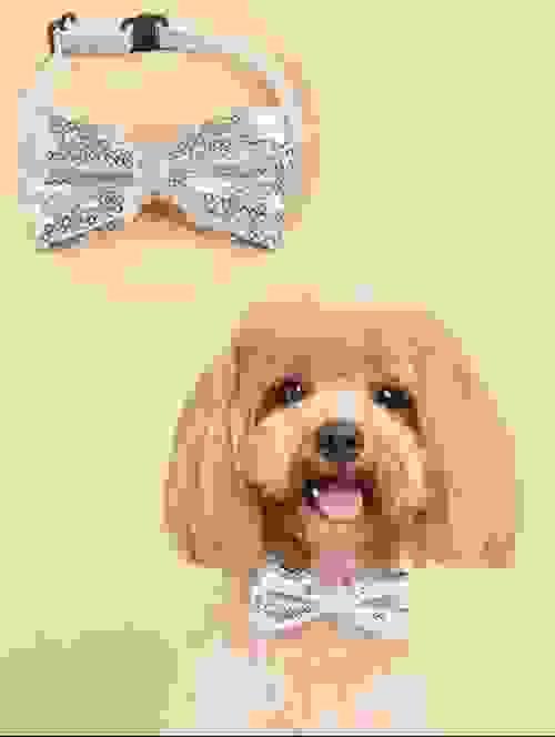 pet bow