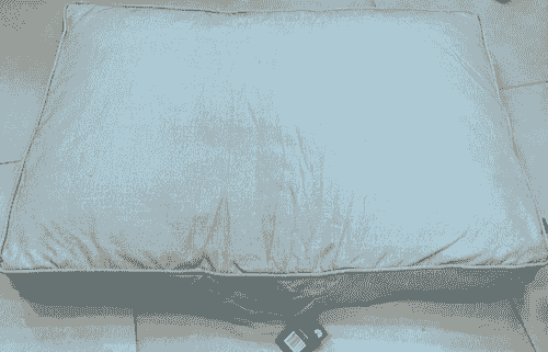 Dog Bed