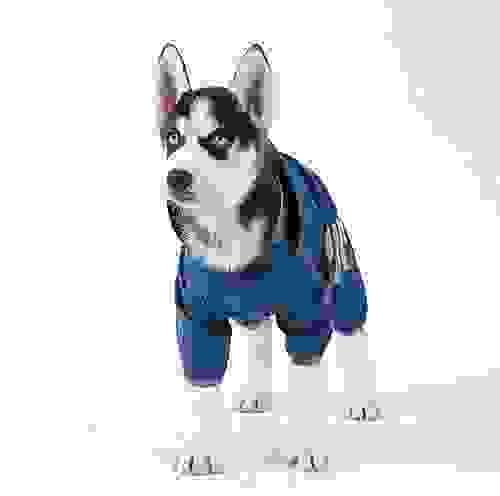 DOG WATERPROOF JUMPSUIT 