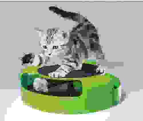 Cat Toy