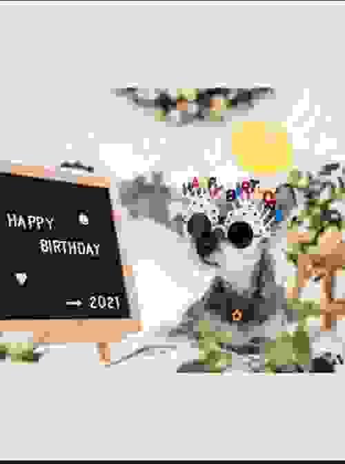 PET BIRTHDAY GLASSES 