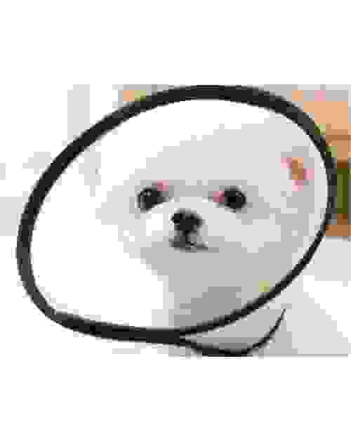 PET MEDICINE  COLLAR 