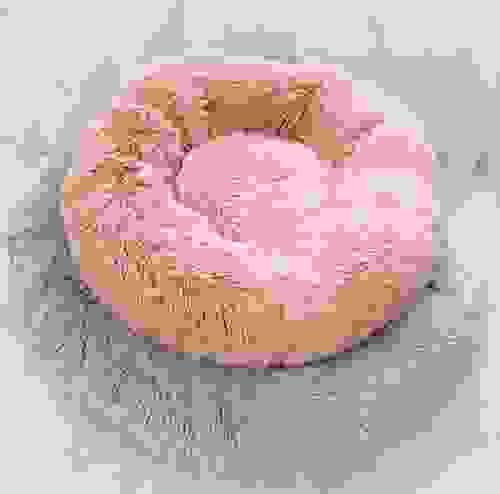 pet bed