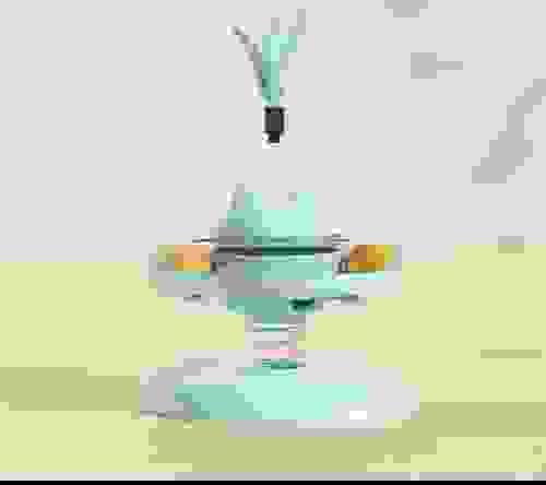 pet toy