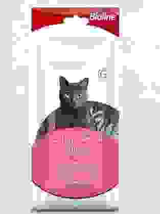 catnip