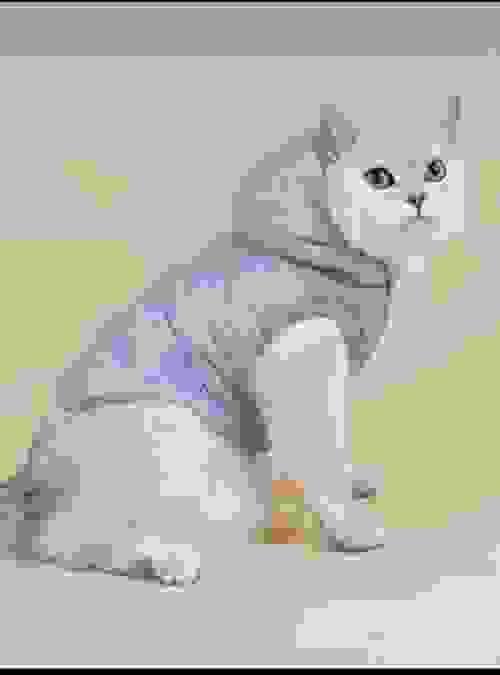 PET VEST 