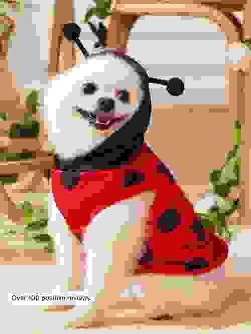 summer pet hoodie