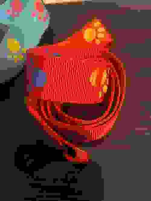 Dog leash 