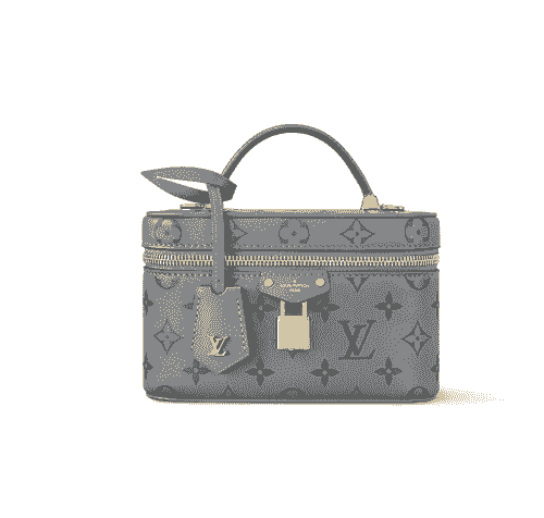Louis Vuitton vanity pouch 