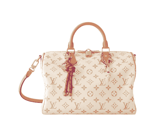 Speedy Soft 30 Lucky Other Monogram Canvas
