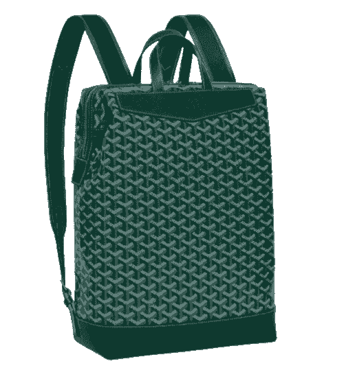 Goyard Cisalpin backpack green 