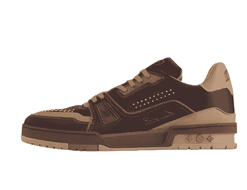 Louis Vuitton trainer 3 different browns 