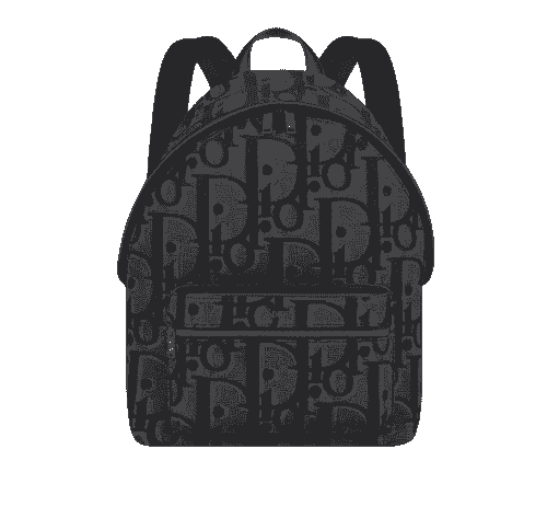 Dior Black Maxi Oblique Canvas 'Rider' Backpack
