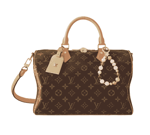 Speedy Soft 30 Lucky Monogram Canvas