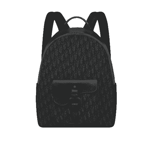 Dior Saddle Zip Backpack