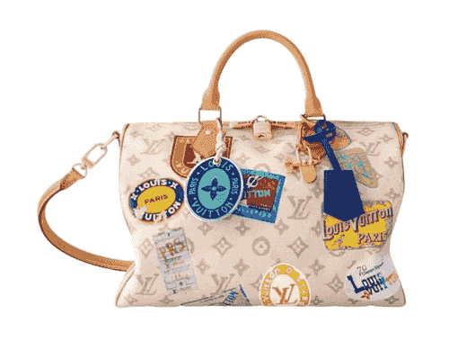 Speedy Soft 30 Other Monogram Canvas