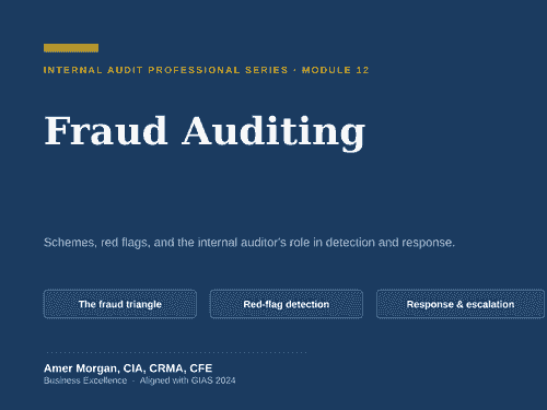 Internal Audit M12: Fraud Auditing