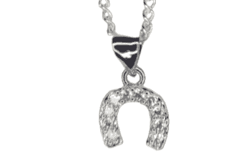Cubic Zirconia Horseshoe Charm Necklace.-Item#276C