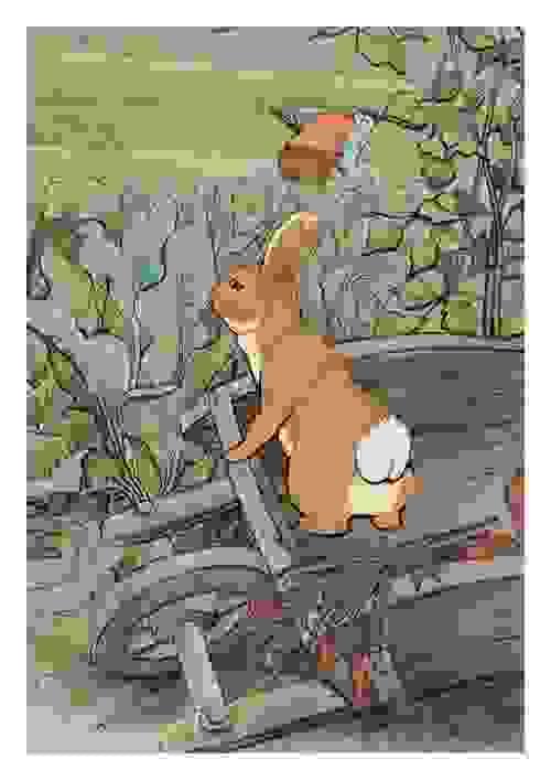 Bunny in a Wheel Barrow with Gardener