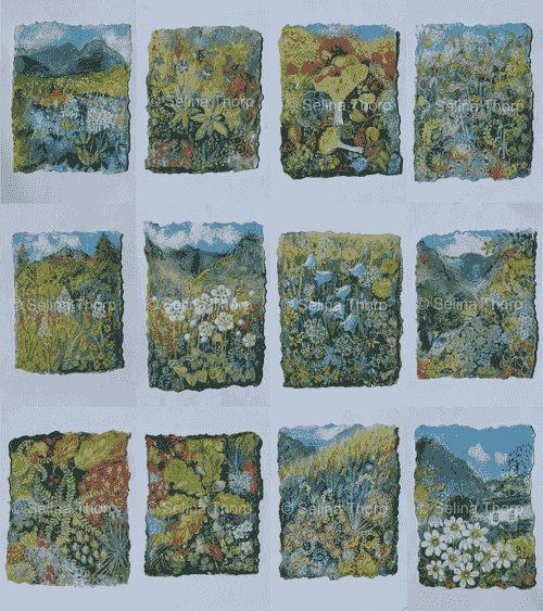 Greeting Cards by Selina Thorp