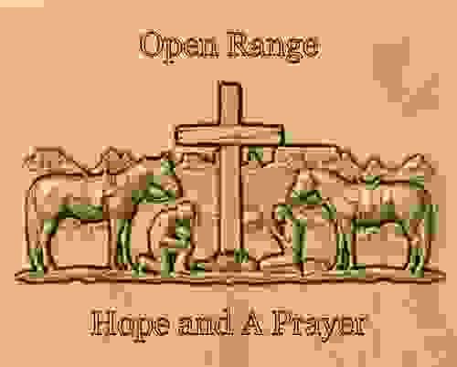 Open Range - 3D engraving