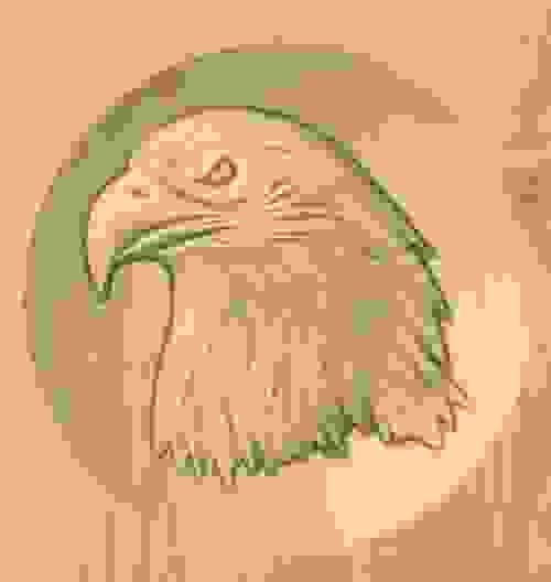 Eagle Head set into bowl background - 3D engraving