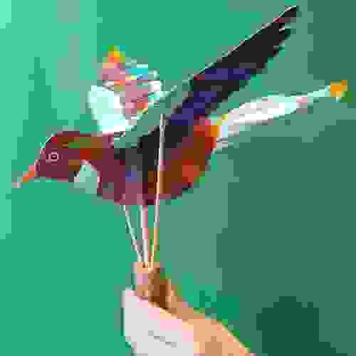 Take Flight - with Rowena Fry