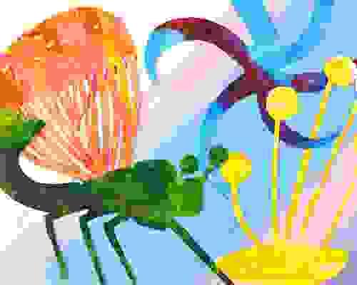 Colourful Sea Creatures - with Rowena Fry