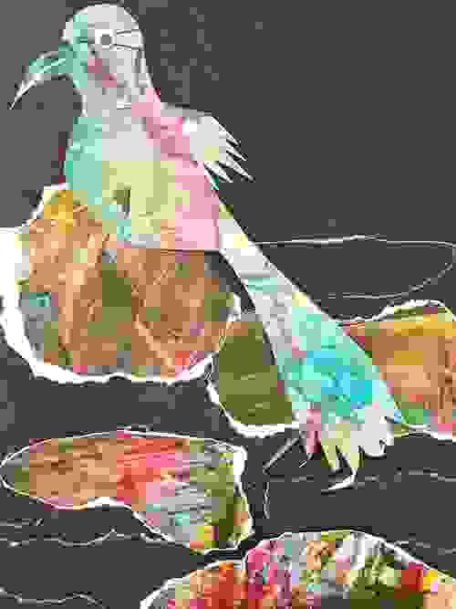 Beautiful Birds with Rowena Fry