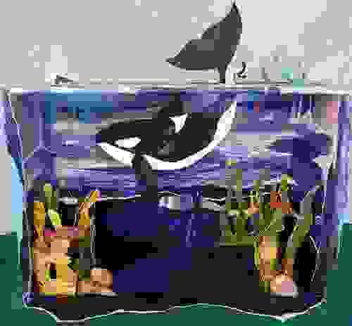 Underwater world: a Matariki Diorama with Rowena Fry 4