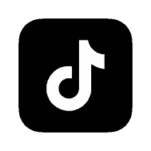 TikTok Follower Boost