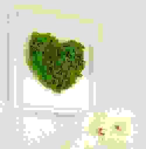 Zuzmó kép