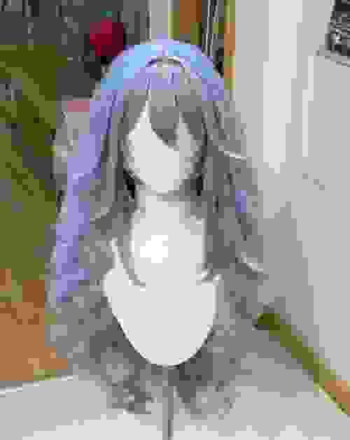 Pre-style Neon Genesis Evangelion Ayanami Rei Cosplay Wig