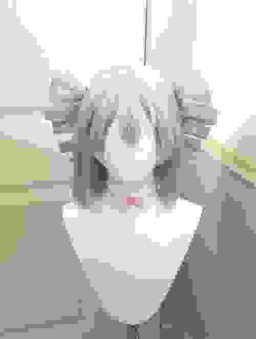 Pre-style Honkai Impact 3rd Prometheus Cosplay Wig