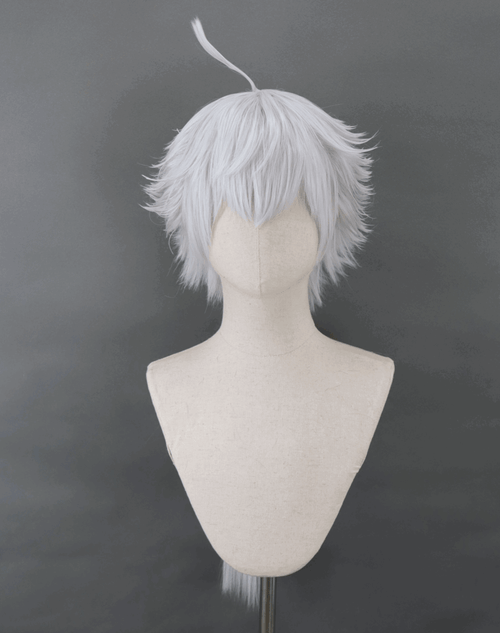 Pre-style Final Fantasy XIV Alphinaud Sage Cosplay Wig