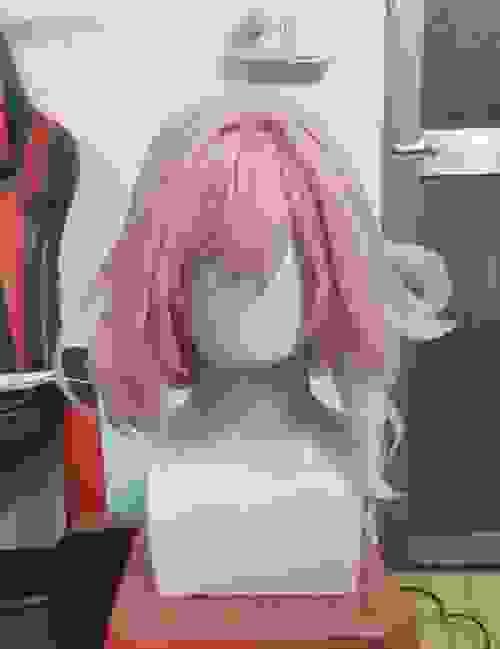 Pre-style Honkai Impact 3rd Elysia Cospaly Wig