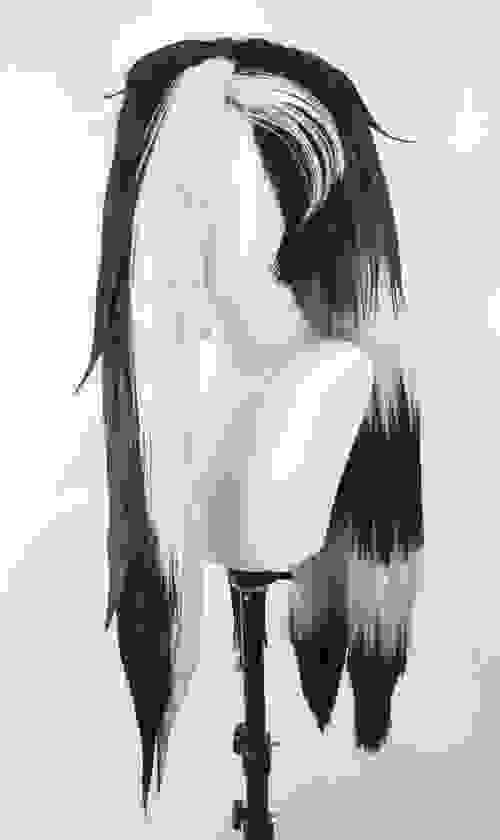 Pre-style Pokémon piers Cospaly Wig