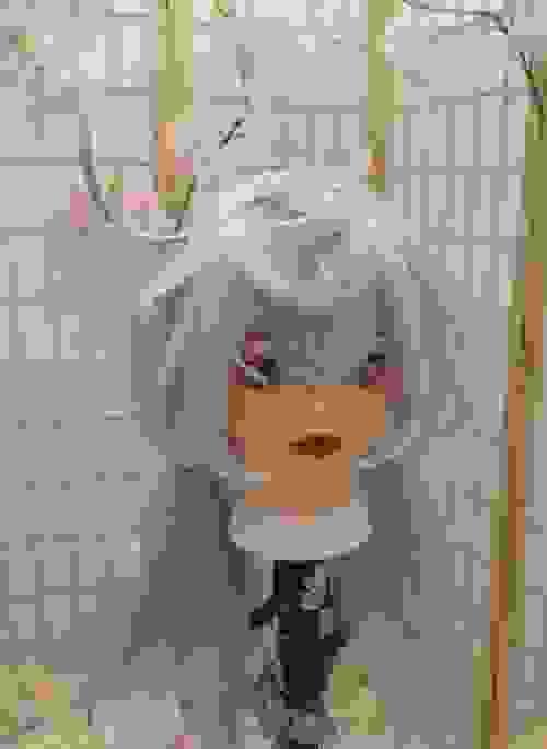 Pre-style Genshin Impact Sigewinne Cospaly Wig