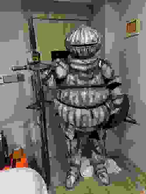 Dark Souls Siegmeyer of Catarina Cosplay Armor