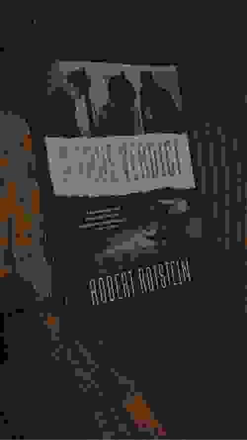 A TRUE VERDICT BY: ROBERT ROTSTEIN