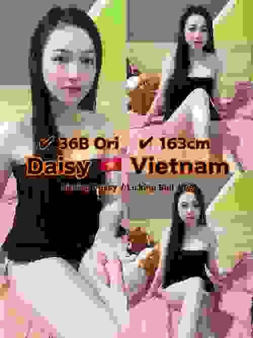 Daisy❤VietNam