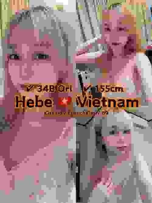 Hebe 越南 Vietnam