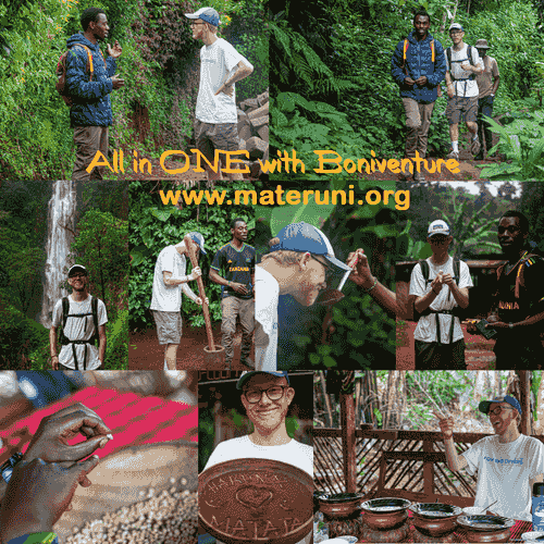 Materuni Waterfalls & Coffee Tour Package