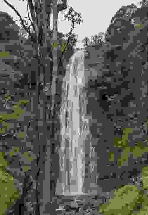 Materuni Waterfalls & Coffee Tour Package